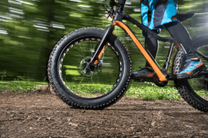 荷蘭禁止 14 歲以下騎乘 Fat Bike