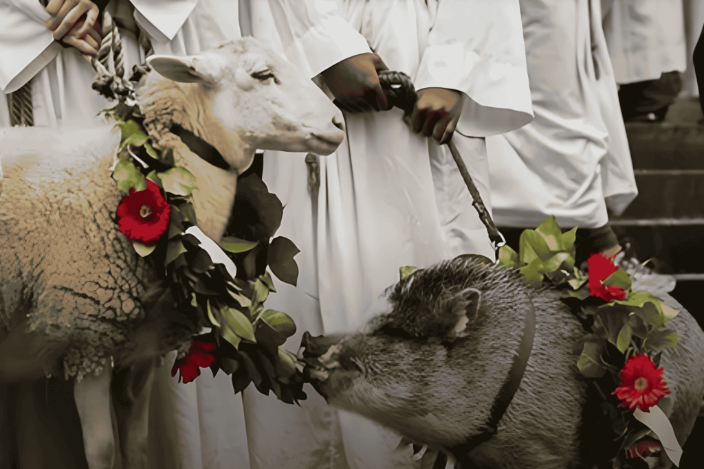 羅馬動物祝福儀式溫馨登場