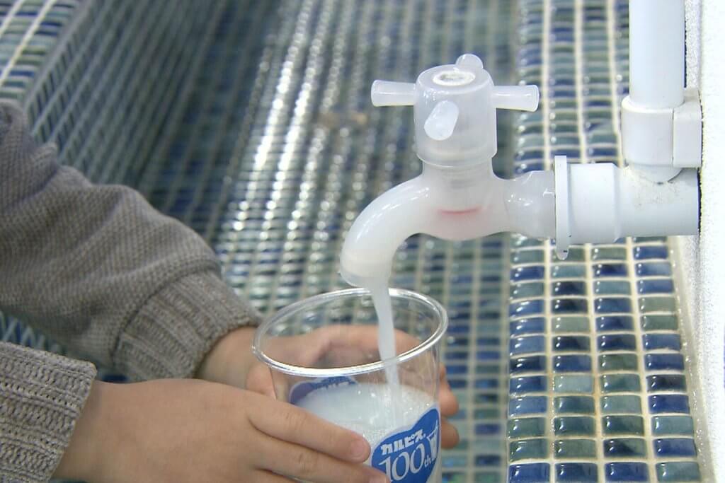 日本可爾必思水龍頭！ 如何預防螞蟻又保冰？