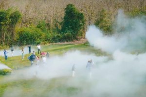 走進迷霧森林！ 曼谷近郊藝術新地標
