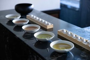 日式焙茶熱潮 Saboe 日本 茶的日常美學