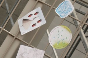 日本 設計展從 47 都道府縣出發！